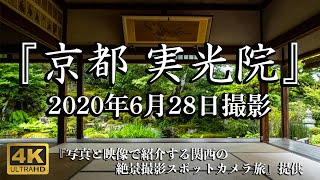 [4K] 2020年6月28日撮影 京都 - 実光院 | Japan Kyoto Jikkouin-Temple summer.