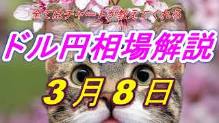 【FX】ドル円為替相場の予想と前日の動きをチャートから解説。日経平均、NYダウ、金チャートも。3月8日