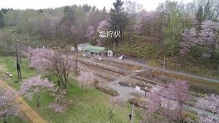 北海道の桜　宗谷本線 塩狩駅