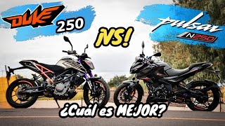 Who is the QUEEN of 250cc?😬🔥, Duke 250 vs Pulsar N250 | Aguacate Motovlogs🥑