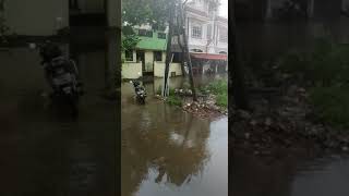 Chennai flood rain - 11 November 2021 - 4