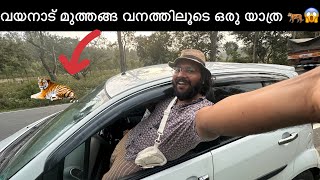 മുത്തങ്ങ കാട്ടിലൂടെയുള്ള car യാത്ര മനോഹരമാണ് 🥰💯 wayanad muthanga forest #wayanad #muthanga