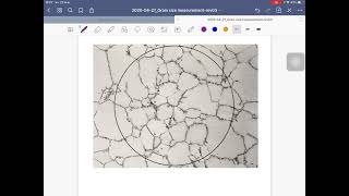 Grain size measurement Ep. 1 (Jeffries planimetric grain size)