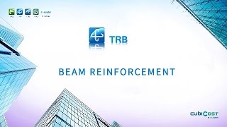 Beam Reinforcement