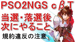 【PSO2NGS】クローズドβテスト当選、落選後にやらないと損すること・規約違反の注意【ニュージェネシス】