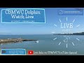 CBMWC Dolphin Watch Live: 2022-01-04