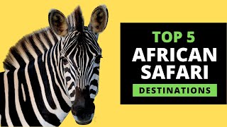 AFRICAN SAFARI DESTINATIONS - Top 5 Most Popular (with prices)