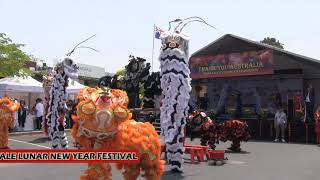 ATVAA Springvale 2020 Lunar new Year festival 13