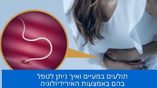 תולעים במעיים - אבחון וטיפול בתולעים בבטן ובגוף האדם יונה ליאור