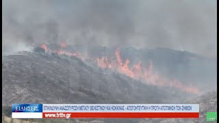 Βόλος Επικίνδυνη αναζωπύρωση μεταξύ Βελεστίνου και Κοκκίνας 270723