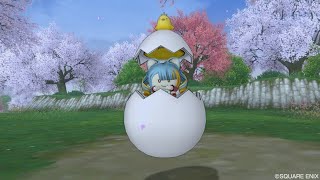 ぽえちゃん DQX 9（2019/4/11 AM2時）