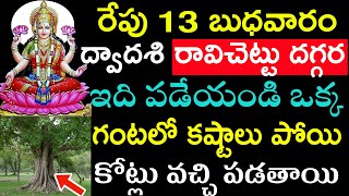 రేపు 13 బుధవారం ద్వాదశి రావి చెట్టు దగ్గర ఇది పడేయండి ఒక్క గంటలో కష్టాలు పోయి కోట్లు వచ్చి పడతాయి