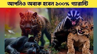 এই প্রাণীদের ক্ষমতা আপনাকে ১০০% অবাক করবে। These animals will surprise you.😮