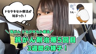 【乳がんドセタキセル療法1/4】抗がん剤治療5回目の様子！