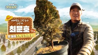 [역전의 부자농부_179회] 에메랄드그린 농장 운영으로 연 매출 5억 5천!! '경북 군위군 최문호 부자농부'