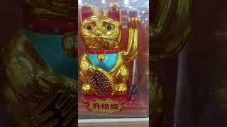 Lucky Waving Cat 💯💢 #luckycat #lucky #youtubeshortsvideo