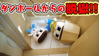 ぐち男、ダンボールに牢獄！牢屋から脱獄せよ！！