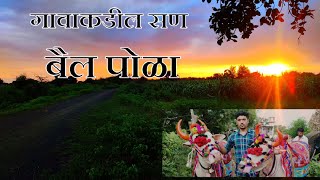 गावाकडचा सण बैल पोळा | Gavakadcha Bail pola | Villager's Life | Small Village Vlog | Bull Festival