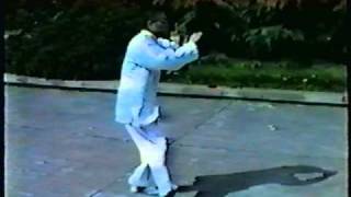 wu style taiji fast form