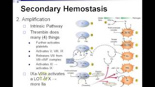 Basic Science - Hemostasis - Part 1