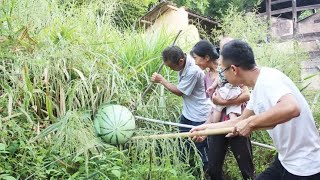 全家人出去找狗，爸爸在草丛里发现一个野生西瓜，切开后太惊喜了