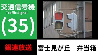 【交通信号機(35)】（更新済み）富士見が丘交差点の弁当箱（旧レンズ）