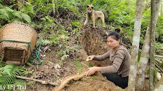 Rural life - Digging ponds, harvesting wild tapeworms to sell at the market | Lý Thị Thu