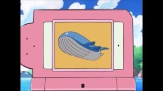 Wailord Pokédex Entry