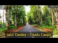 Jalur Ciwidey Cikadu | Jalan Baru Ciwidey Cikadu Cianjur Selatan