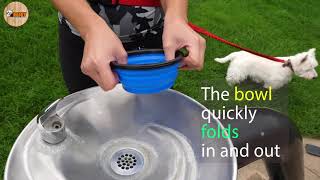 Portable Silicone Collapsible Travel Feeding Bowl