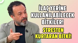 Doğal Yollarla Stresten Kurtulun! | Nur Viral'le Hayatta Her Şey Var