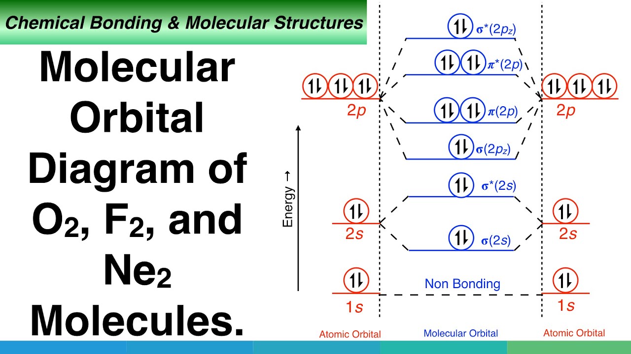 O2 Molecular Orbital Diagram Bond Order