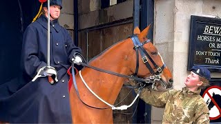 Is Something Troubling This Majestic Horse?