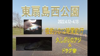 東扇島西公園の釣り part 21 2022.4.12~4.13 夜釣り12時間釣行