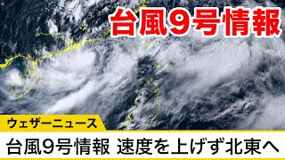 台風9号情報　あまり速度を上げず北東方向へ　今後の進路に注意(2021.8.4.15時更新)