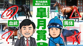 【皐月賞 2022】昨年は★特注馬のタイトルホルダーが８人気２着！馬体vs血統！有力出走馬解説レビュー【競馬 予想】