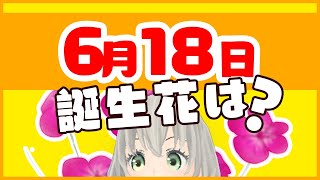 【花言葉】6月18日の誕生花は？／花白もか