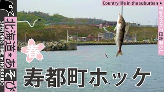 ホッケ釣り_寿都町