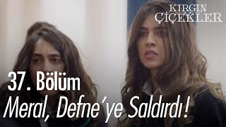 Meral, Defne'ye saldırdı! - Kırgın Çiçekler 37. Bölüm