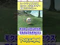 【ポケモン】ムーンやってるけどモクローが可愛すぎて戦闘に出せない… ポケモン 反応集