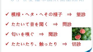 東洋医学公益講座　第29回  生理学基礎