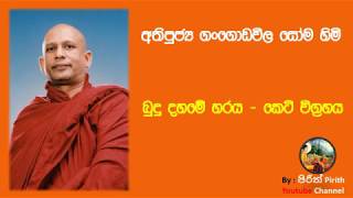 බුදු දහමේ හරය - කෙටි විග්‍රහය - Bana - Dharmadeshana-Most Ven. Gangodawila Soma Thero