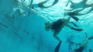 Australian Women's Underwater Rugby (2)