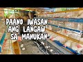 PAANO IWASAN ANG LANGAW AT MABAHONG AMOY SA MANUKAN