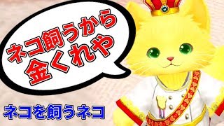 「 ネコ飼いたい 」と金銭を要求してくるネコ