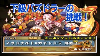 【パズドラ】マクドナルド×ガチャドラ降臨に下級パズドラーが挑戦！