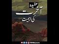 Aqeeda E Akhirat In Islam | Famous Short Clip | By MFRNoorani