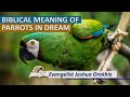 Biblical Meaning of PARROT in Dream - Dream About Parrots