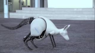 Bionic Kangaroo