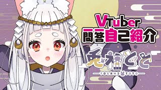 【自己紹介】Vtuber一問一答自己紹介/ Vtuber Q\u0026A self introduction【VTuber準備中/兎神とと】